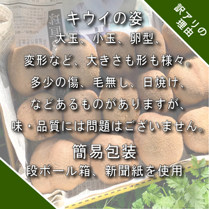 【12月上旬~順次発送】 訳あり キウイフルーツ 2kg  腸活 グリーンキウイ 健康 甘い キウイ フルーツ 無選別 みつばちキウイ 規格外 デザート 果物 くだもの 国産 愛知県 南知多町 【配送