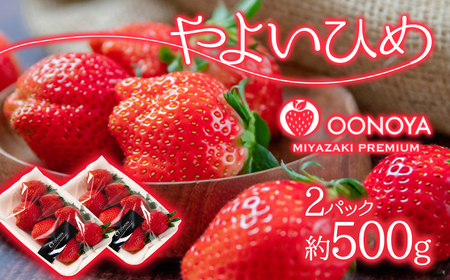 【先行予約】苺大野屋　厳選いちご　やよいひめ 500g（250g×2P）＜1-294＞＊