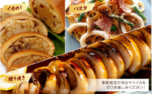 【先行予約】旬の美味しさ 天然 子持ちヤリイカ 1kg 以上【2027年3月上旬以降順次発送予定】【 やりいかイカ いか いかめし いかそうめん いか焼き 姿焼き 卵 げそ 刺身 冷凍 煮付け 海鮮 鮮魚 おつまみ 】 [m36-a023]