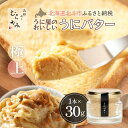 【ふるさと納税】「うにむらかみ」うに屋のおいしいうにバター　30g×1本【 ふるさと納税 人気 おすすめ ランキング うに ウニ 雲丹 うにバター バター 塩水ウニ 塩水うに キタムラサキウニ バフンウニ うに丼 海鮮 ミョウバン 不使用 北海道 北斗市 送料無料 】 HOKT009