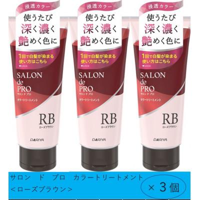 ふるさと納税 稲沢市 ダリヤ　サロン　ド　プロ　カラーシャンプー&トリートメント《ローズブラウン》各3個セット |  | 01