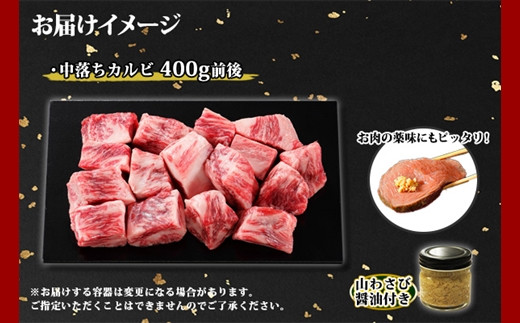 お届けイメージです。
