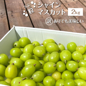 ＜25年発送先行予約＞ 【訳あり】 シャインマスカット 粒 2kg以上 154-033