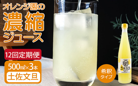 オレンジ園の濃縮ジュース 土佐文旦 500ml 3本 12回定期便 希釈用 【J00120】