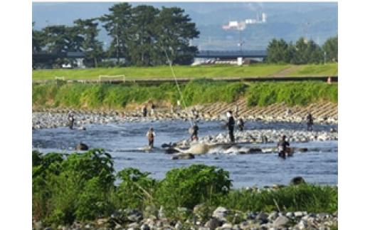 2026年　年間遊漁証(2026年1月1日～12月31日利用分)