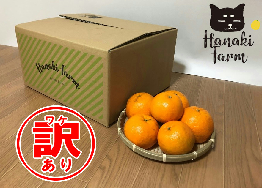 
                  【訳あり】はなきファームのバイオ農法 ポンカン 約60～80個 発送期間：2月末まで
                