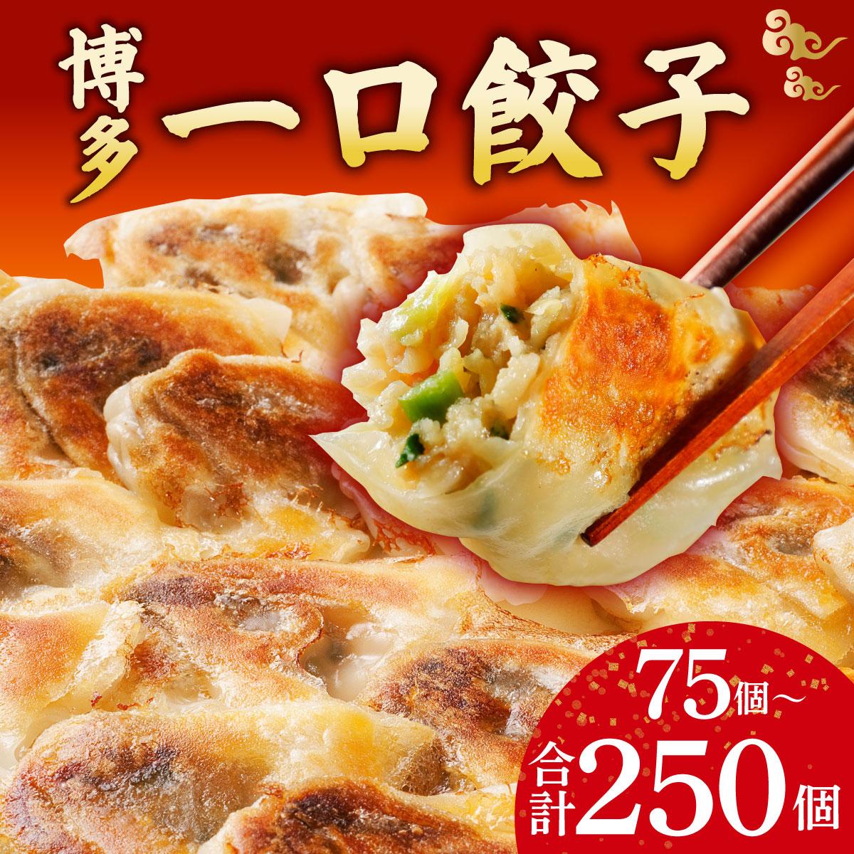 【ふるさと納税】寄附額改定↓ ＜選べる容量＞冷凍 博多一口餃子 25個入り 3～10パック