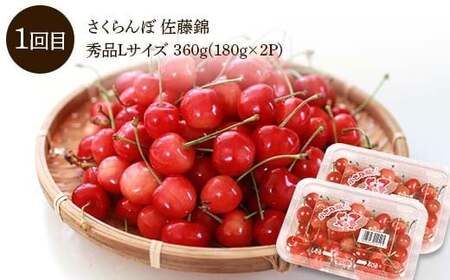 【先行予約 2026年度発送】♪フルーツ王国山形♪ 定期便3回 Dコース FSY-2443