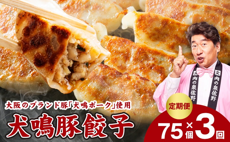 G5382 【泉佐野ブランド豚】犬鳴豚餃子 75個×3回【国産 豚肉 ぶたにく 定期便 犬鳴ポーク 焼くだけ 人気 総菜 冷凍】