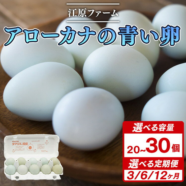 【ふるさと納税】＼選べる個数・回数／ 江原ファーム　アローカナの青い卵（20個・30個）｜卵 たまご タマゴ 生みたて 産みたて 新鮮 濃厚 健康 青い卵 産地直送 _AG28 _AG29 _AG30 _AG16 _AG17 _AG18