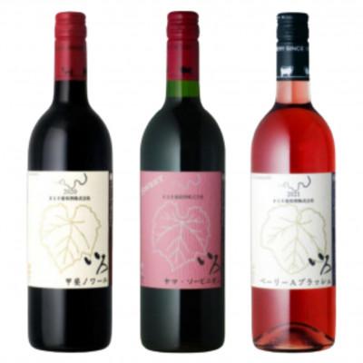 ふるさと納税 甲州市 まるき【いろシリーズ】いろ甲斐ノワール いろヤマ・ソービニオン いろベーリーAブラッシュC-1669