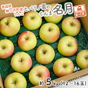 【ふるさと納税】りんご 青森 ぐんま名月 リンゴ 約 5kg (12～16玉) 青森県 鰺ヶ沢町産 ヒバリノ園 フルーツ 果物 果物類 白神山地 林檎 2024 ※オンライン決済のみ　 鰺ヶ沢町 　お届け：2024年11月10日～12月10日