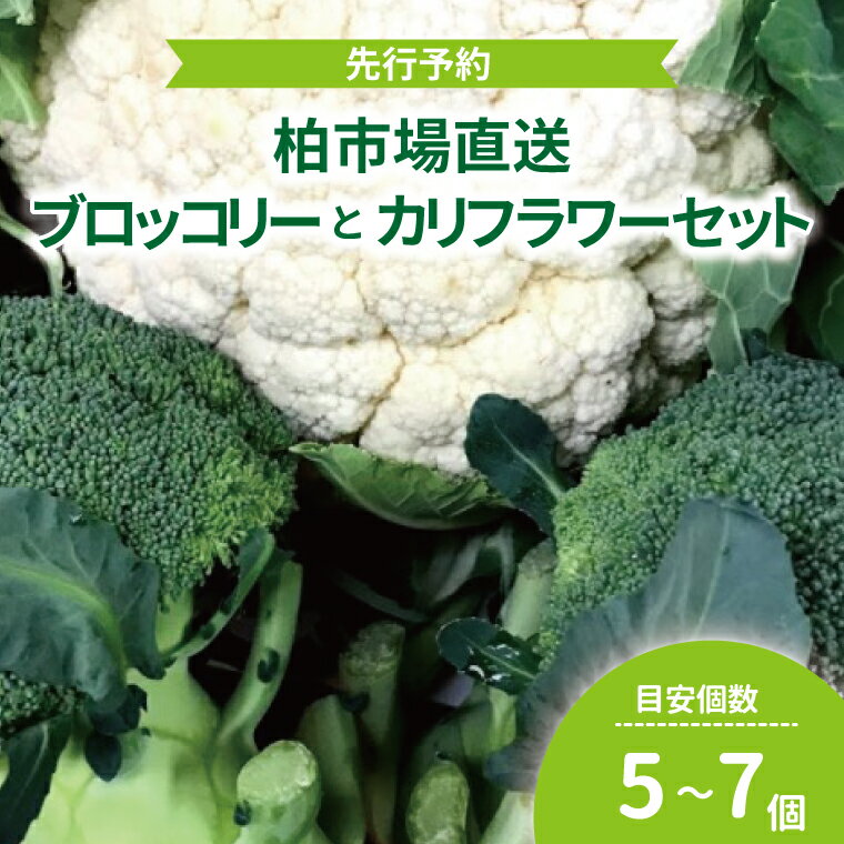 【ふるさと納税】【先行予約】【12月発送開始】 ブロッコリー カリフラワー セット 野菜 新鮮 旬 国産 産地直送 千葉県産 柏市産 おいしい サラダ 野菜炒め おすすめ 大量 季節限定