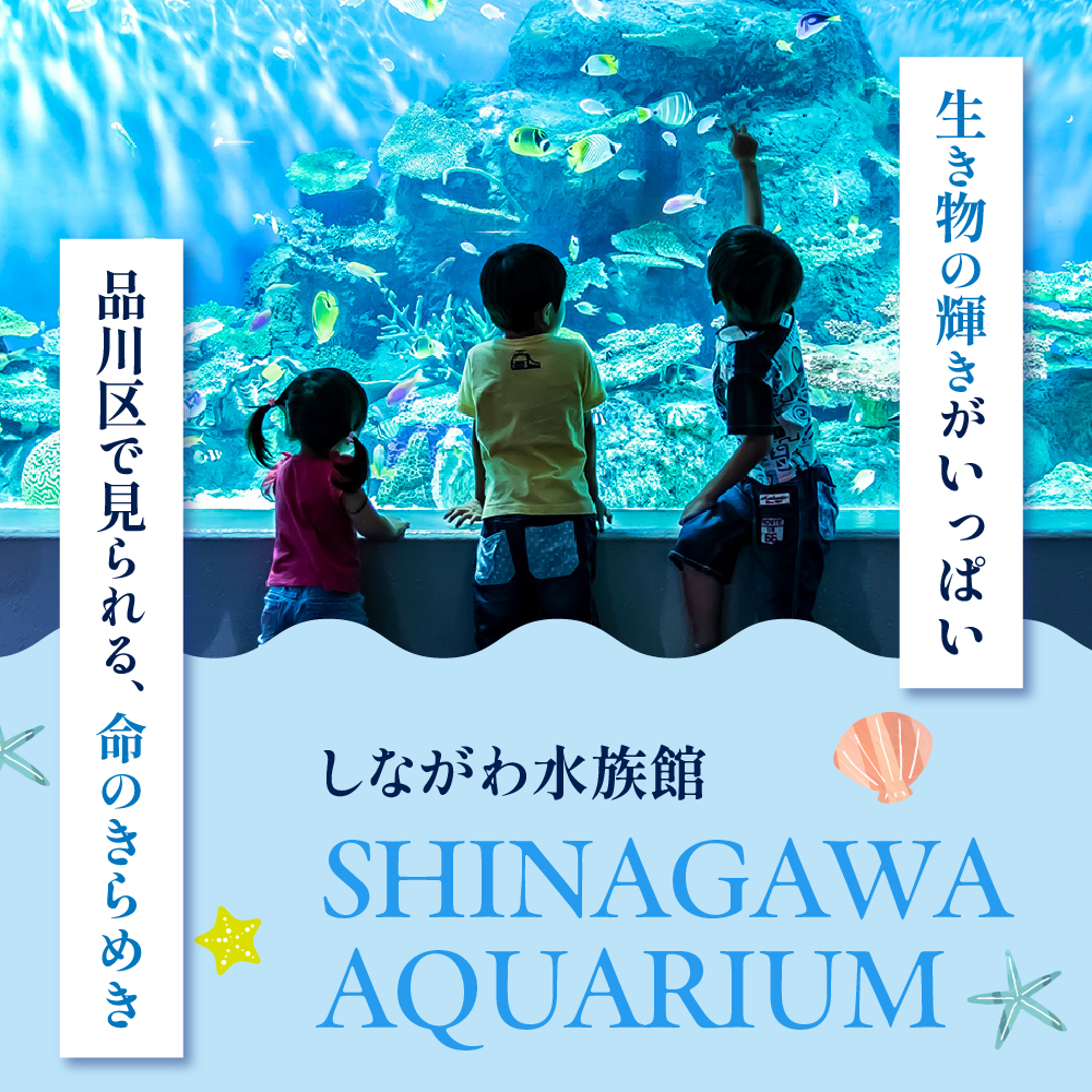 しながわ水族館ペア入館券