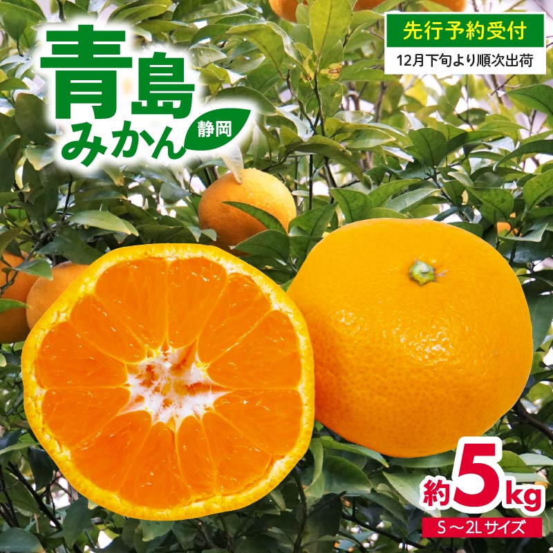 【ふるさと納税】【 先行予約 : 2025年12月下旬発送予定 】 静岡県産 青島 みかん S～2L 約 5kg 果物 国産 フルーツ 柑橘 蜜柑 ミカン ビタミン 静岡県 藤枝市