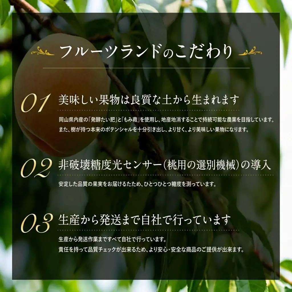 桃 2026年 先行予約 清水白桃 5玉 合計約1.3kg  岡山県産 桃