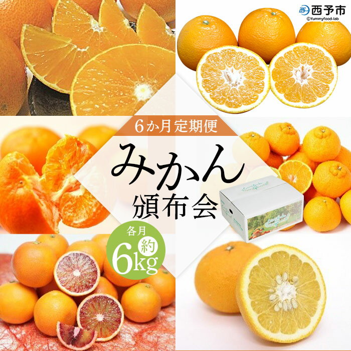 【ふるさと納税】＜6か月定期便 みかん頒布会 3種×約2kg＞ 果物 フルーツ みかん ミカン 柑橘 柿 オレンジ まどんな ブラッドオレンジ なつみ はるか ネーブル ポンカン 甘夏 食べて応援 特産品 愛媛県 西予市【常温】『2025年12月に第1回目を順次出荷予定』