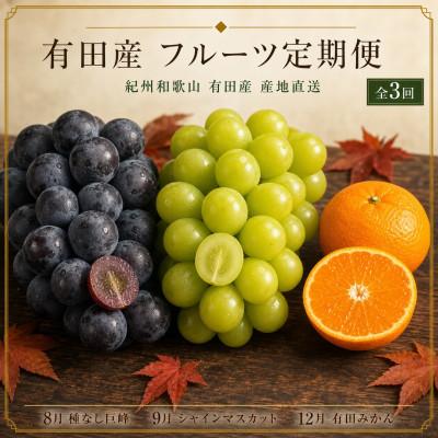 ふるさと納税 有田川町 【発送月固定定期便】紀州和歌山産旬のフルーツセット(種なし巨峰・シャイン・みかん)全3回