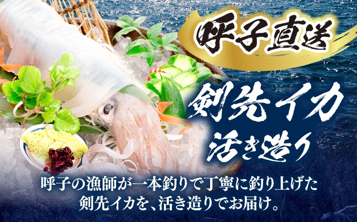 剣先イカ 活造りを呼子CASセンターから直送！