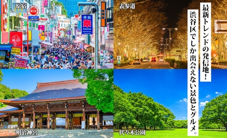 渋谷区 後から選べる旅行Webカタログで使える！ 旅行クーポン（300,000円分）【159004】旅行