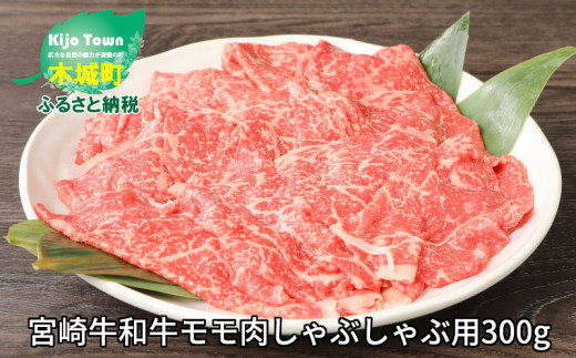 
＜宮崎牛和牛モモ肉しゃぶしゃぶ用300g＞ K01_0001_1
