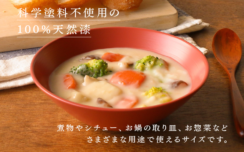  NHKあさイチで紹介されました！【RIN&CO.】越前硬漆 平椀 / 刷毛目技法 軽く丈夫な漆塗りの器＜越前漆器＞ノースグリーン（Ｎ-02） ノースグリーン