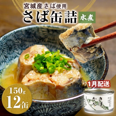 【1月配送】缶詰 さば缶詰 水煮 12缶 サバ缶 鯖缶 さば缶 鯖 国産 常温 長期保管