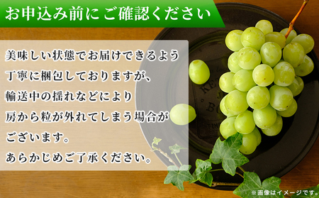 【先行予約】＜シャインマスカット 家庭用 約2kg＞ 果物 くだもの フルーツ ぶどう 葡萄 ブドウ シャインマスカット しゃいんますかっと 3～5房 2キロ ご家庭用 種なし 甘い 皮ごと 特産品 