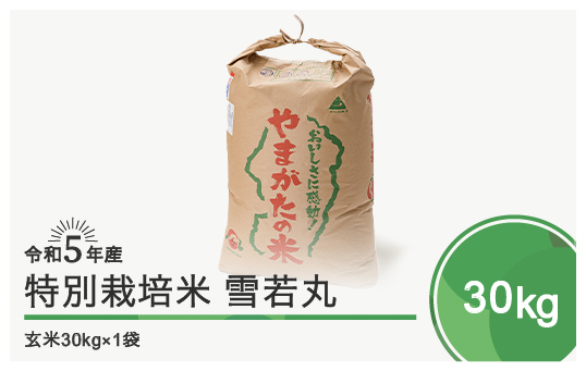 
令和5年産 米 雪若丸 30㎏ 大石田町産 特別栽培米 玄米
