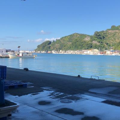 ふるさと納税 八幡浜市 竹中水産の大真鯛(三枚下ろし真空パック丸ごと1匹)!【D22-280】 |  | 03