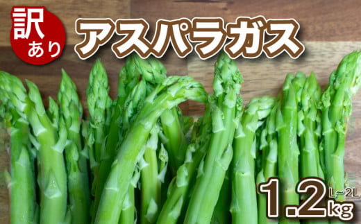 【 先行予約 】訳あり アスパラガス B品 1.2kg 朝採れ 大容量 アスパラ L~2L 有機肥料使用 サイズ混合 訳あり セット SDGs フードロス 食品ロス 支援 期間 限定 野菜 新鮮 夕飯 おかず お弁当 新鮮アスパラ 下関 山口 【2025年7月より発送】