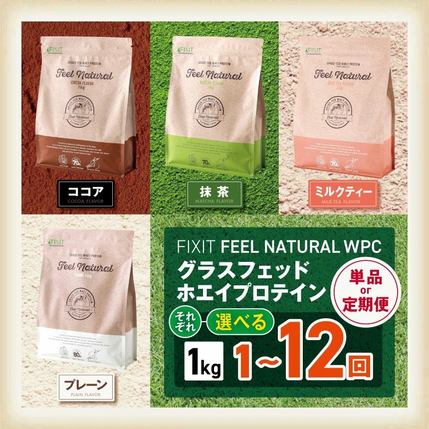 【ふるさと納税】FEEL NATURAL | G.Oホールディングス フィール ナチュラル ダイエット サポート 置き換え プロティン 乳酸菌 高たんぱく 高タンパク ドリンク 自然 優しい 理想 身体 体 ヘルシー 国産 ココア 抹茶 ミルクティー プレーン 栃木県 真岡市 送料無料