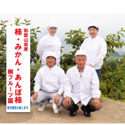 柿【先行受付】柳フルーツ園 たねなし柿 約10kg
