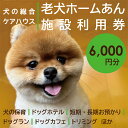 【ふるさと納税】老犬ホーム あん施設利用券（6,000円分） 犬専用総合ケアハウス 愛犬愛護活動