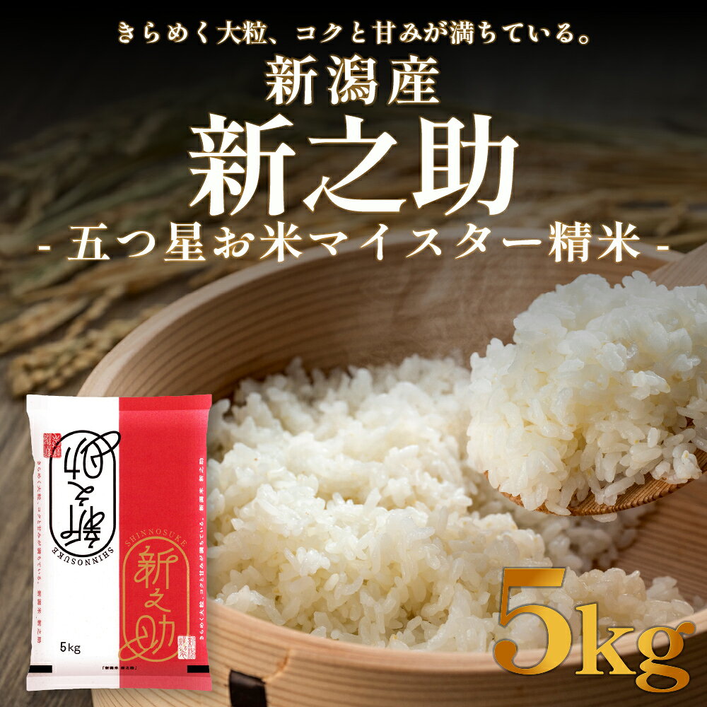 【ふるさと納税】新潟産 新之助5kg 産地直送