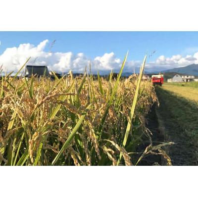 ふるさと納税 厚沢部町 【令和7年産】 北海道厚沢部産 ゆめぴりか 2kg |  | 01