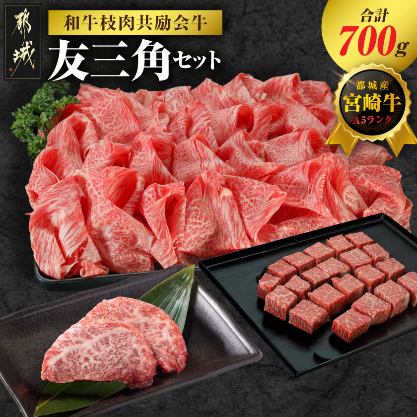 【ふるさと納税】【和牛枝肉共励会牛】(A5)宮崎牛友三角セット - 都城産 宮崎牛 A5ランク 友三角ステーキ モモサイコロステーキ 赤身切り落とし ブランド牛 送料無料 18-25-009 【宮崎県都城市は2年連続ふるさと納税日本一！】