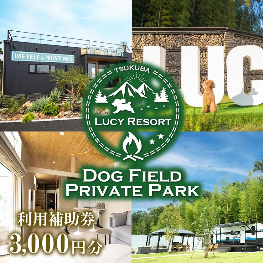 【ふるさと納税】LUCY RESORT(ルーシーリゾート)利用補助券 3,000円分 | 茨城県 つくば市 体験 チケット ドッグラン BBQ バーベキュー グランピング ペット 宿泊