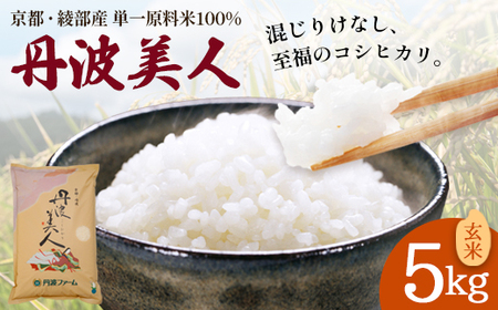 「丹波美人」 玄米 5kg | 米 お米 こしひかり 玄米