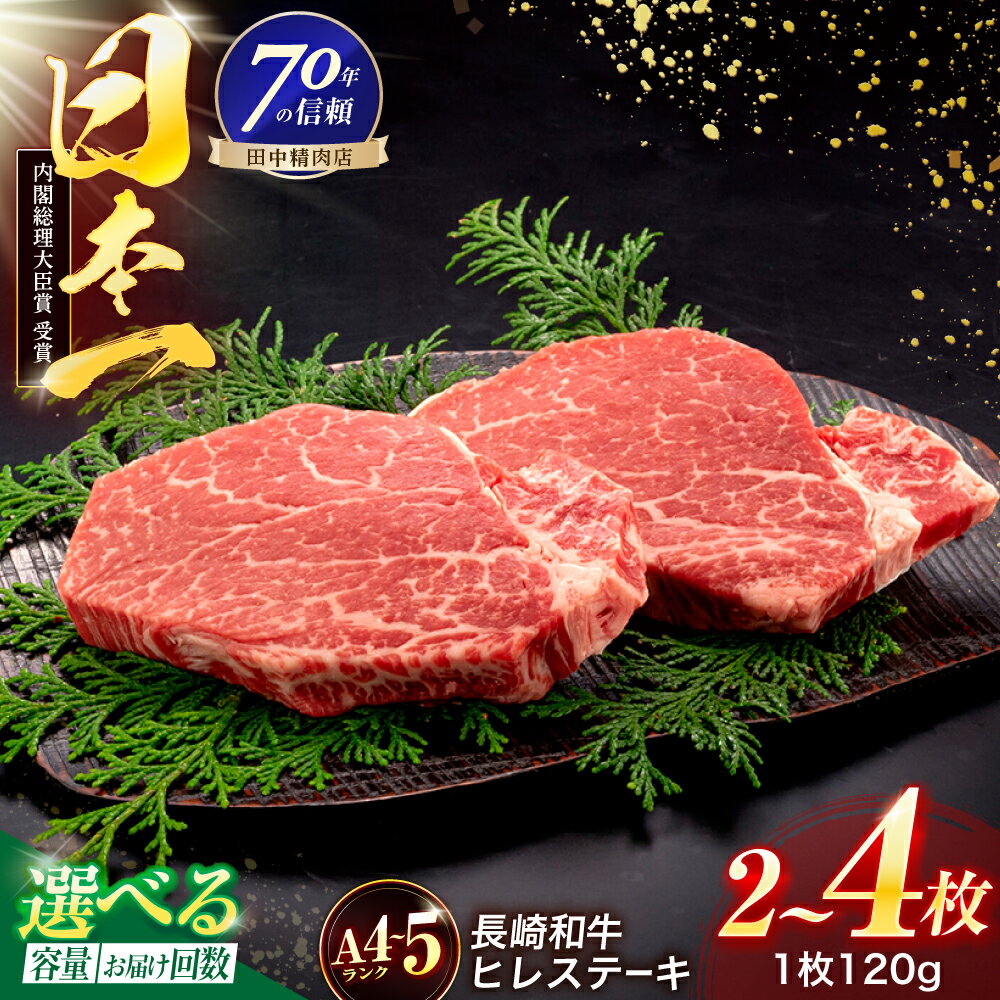 【ふるさと納税】＜選べる枚数・回数！＞長崎和牛 ヒレステーキ 120g×2枚～4枚【株式会社田中精肉店】[OCA057]