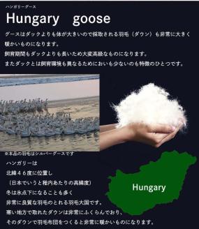 ＜京都金桝＞2層キルト 羽毛布団 掛け布団『シングル』ハンガリーシルバーグースダウン93％ 羽毛量1.3kg ジラーフ《国産 寝具 ふるさと納税布団 側生地 綿100% 新生活》◇