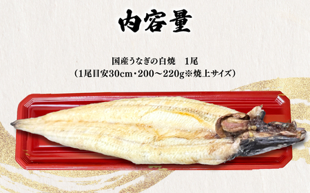 ＜凍らさず美味しさそのまま！〆たて・焼きたてを冷”蔵”で発送＞地元飲食店に愛される美味さにこだわった 国産うなぎの白焼き (1尾) ふるさと納税 福知山市 特上 うなぎ 蒲焼 ウナギ 鰻蒲焼き うなぎ