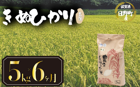 【先行予約】令和8年産 きぬひかり 新米 5kg 定期便 6ヶ月 玄米 米 