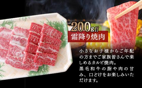 【カミチク 上村和牛】ステーキ＆焼肉セット500ｇ　黒毛和牛4等級以上〈1.6-8〉