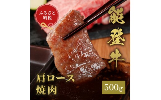 
                  [№5784-1364]肉【和牛セレブ】能登牛　牛肩（ウデ） 焼肉 500g 黒毛和牛 霜降り ギフト 石川県 能美市
                