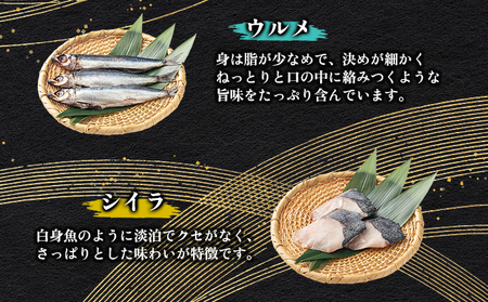 海駅製作所 干物詰め合わせ お任せ3種以上【MT014】干物セット ひもの アジ あじ さば サバ 干し 魚 海鮮 詰め合わせ