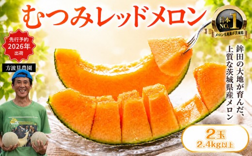 【2026年発送】 茨城県鉾田市産 むつみレッドメロン メロン めろん 2玉（1.2kg以上×2）｜方波見農園 《安心安全栽培》上品な甘さ 絶品 産地直送 赤肉 高級 おすすめ 人気 BMW農法 ジューシー 旬 大きい 甘い 国産 フルーツ 果物 ギフト プレゼント 贈り物