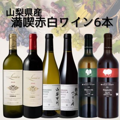 ふるさと納税 山梨県 おすすめワイナリー赤白6本セット　019