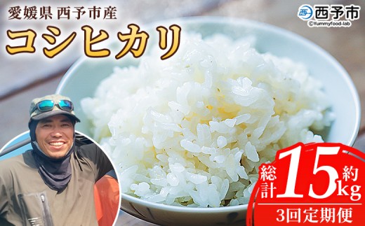 【先行予約】＜令和8年産 愛媛県西予市産 コシヒカリ 5kg（3回定期便）＞ 定期便 国産 愛媛県産 宇和町産 こしひかり お米 米 コメ こめ 白米 精米 ご飯 新鮮 5キロ 特産品 もとき農園 愛媛県 西予市【常温】『2026年10月・11月頃から順次発送予定』