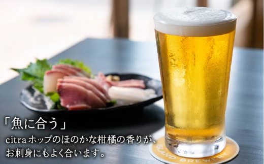 【全12回 定期便 】クラフトビール 地ビール GOLDEN ALE 6本 【ISLAND BREWERY】 《 壱岐市 》[JED011] 168000 168000円 